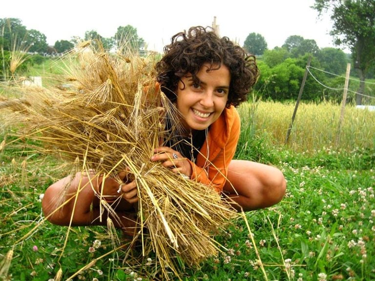 Person crouching in a field, holding a bundle of dry grass.