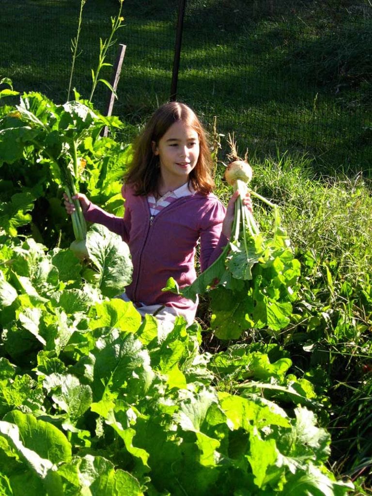 Child holding fresh vegetables in a lush garden setting.