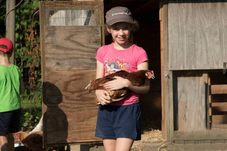 Young girl smiling, holding a chicken near a wooden coop.