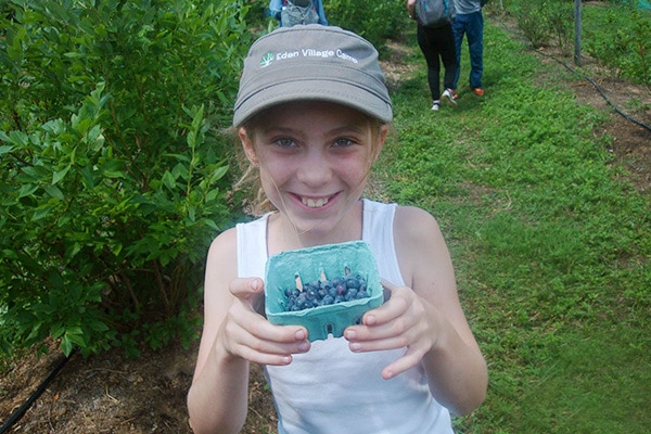 camper holding organically grown blueberries