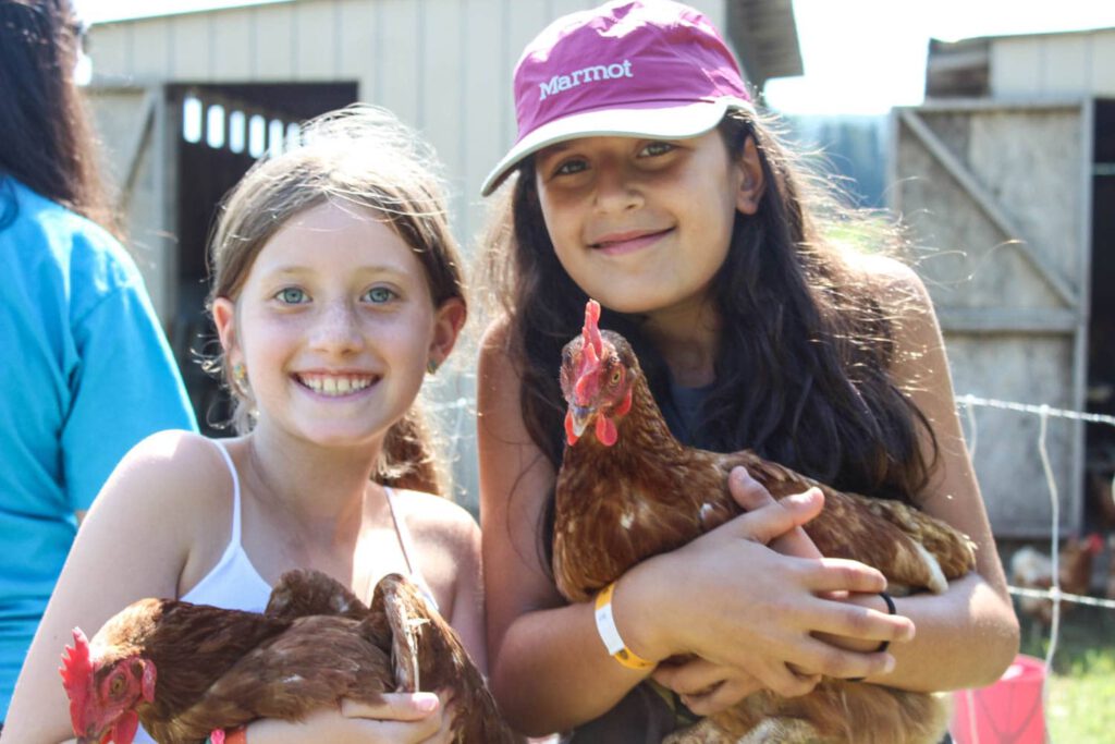 campers holding chickens